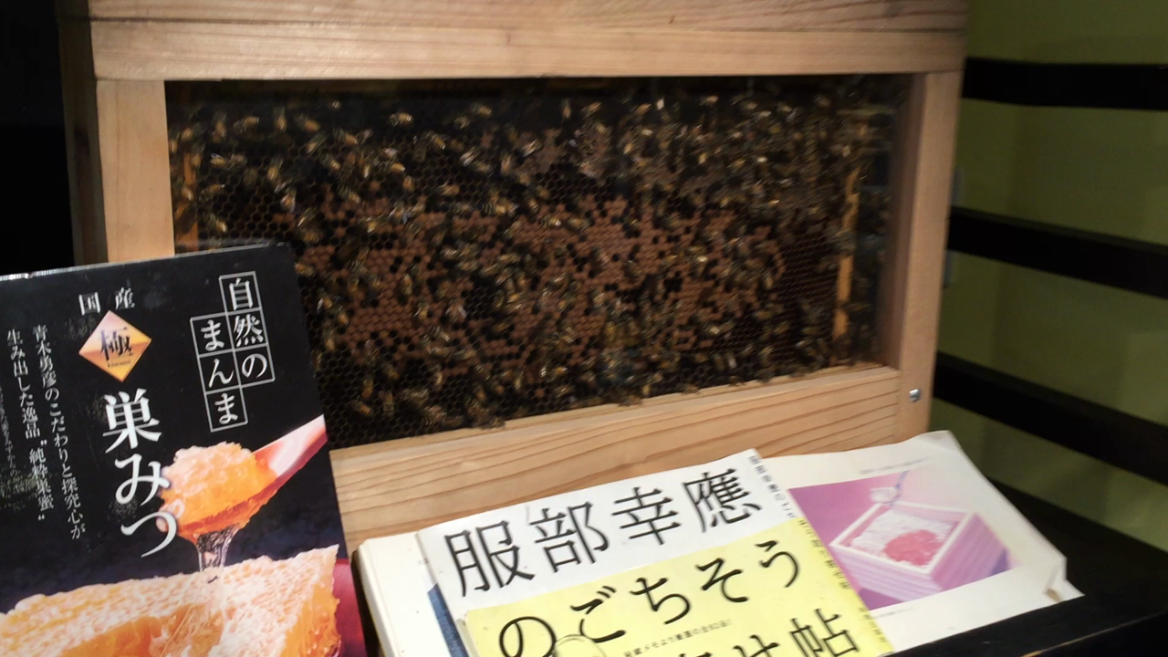 花の道 出雲大社店の写真・動画_video_710