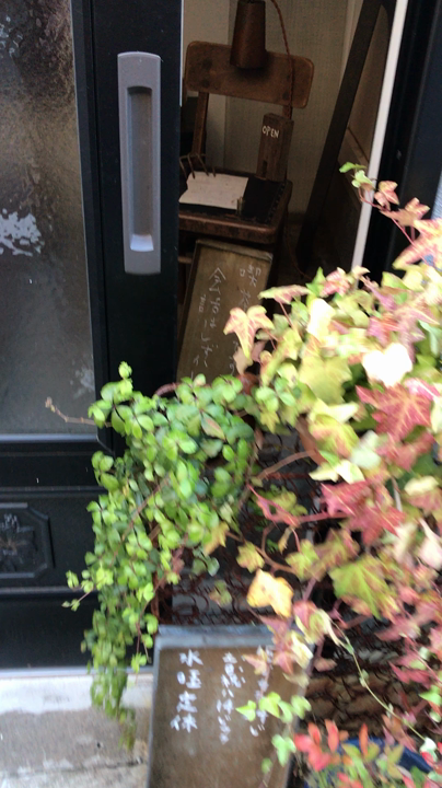 珈琲 杖の写真・動画_video_791