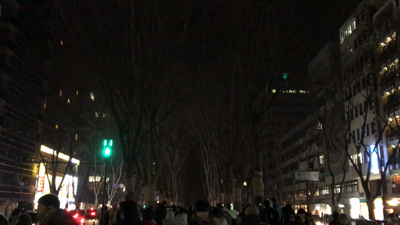 SENDAI 光のページェントの写真・動画_video_885