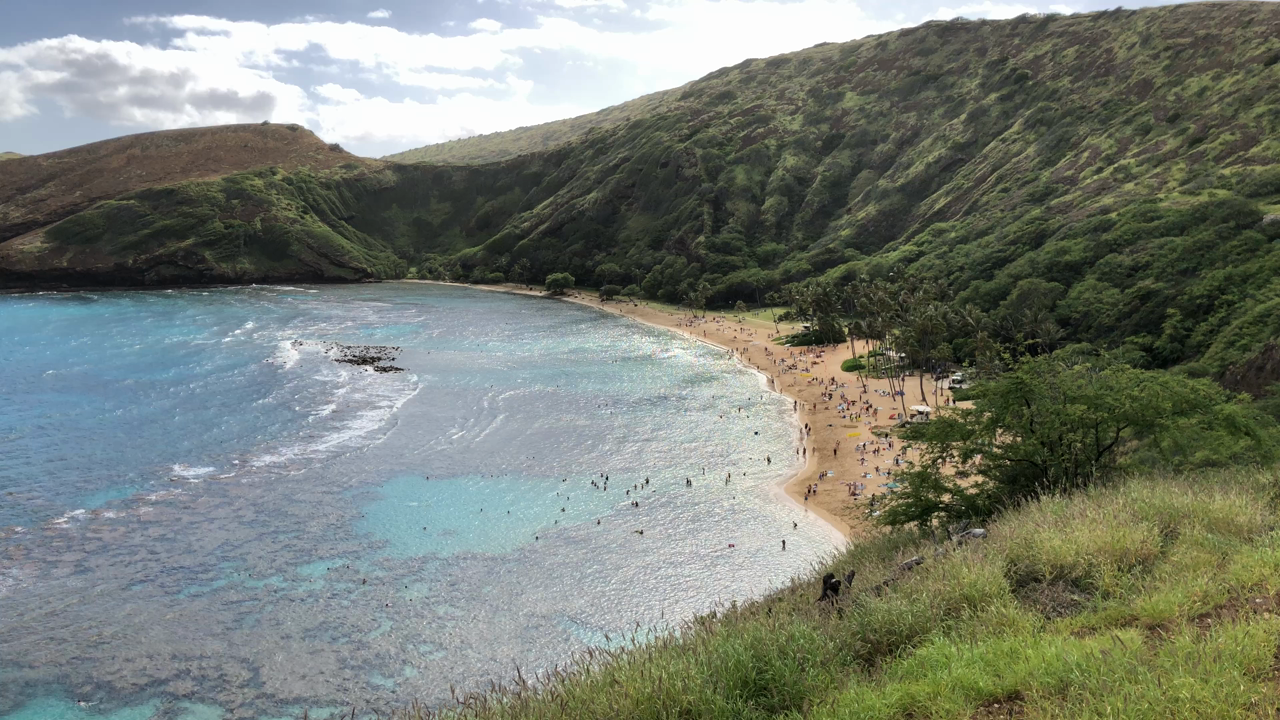 Hanauma Bay（ハナウマ湾）の写真・動画_video_901