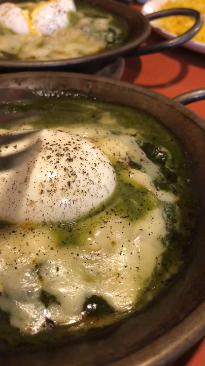 ヨゴロウ （YOGORO） の写真・動画_video_917