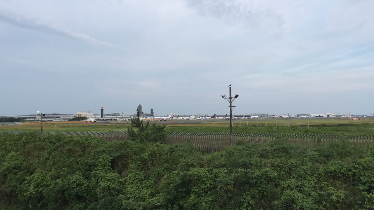 さくらの山公園